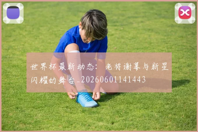 世界杯最新动态:老将谢幕与新星闪耀的舞台_20260601141443
